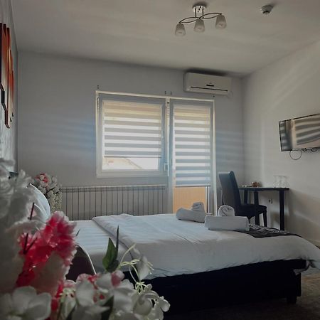 Kengur Resort Βελιγράδι Εξωτερικό φωτογραφία